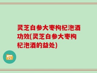 灵芝白参大枣枸杞泡酒功效(灵芝白参大枣枸杞泡酒的益处)
