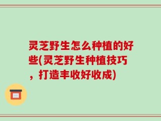 灵芝野生怎么种植的好些(灵芝野生种植技巧，打造丰收好收成)