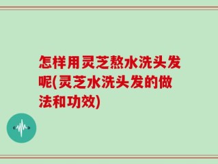 怎样用灵芝熬水洗头发呢(灵芝水洗头发的做法和功效)