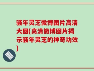 骚年灵芝微博图片高清大图(高清微博图片揭示骚年灵芝的神奇功效)