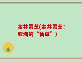 金井灵芝(金井灵芝：亚洲的“仙草”)