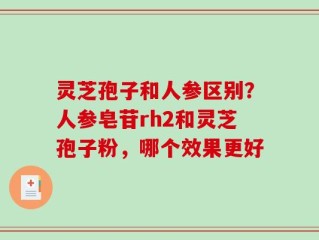 灵芝孢子和人参区别？人参皂苷rh2和灵芝孢子粉，哪个效果更好
