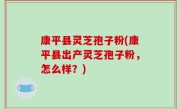 康平县灵芝孢子粉(康平县出产灵芝孢子粉，怎么样？)