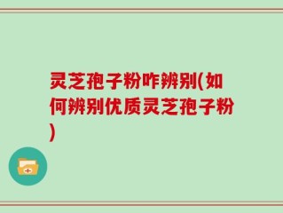 灵芝孢子粉咋辨别(如何辨别优质灵芝孢子粉)