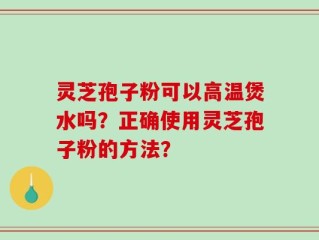 灵芝孢子粉可以高温煲水吗？正确使用灵芝孢子粉的方法？