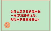 为什么灵芝长的像木头一样(灵芝神奇之处：形似木头却重如泰山)