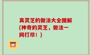 真灵芝的做法大全图解(神奇的灵芝，做法一网打尽！)