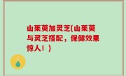 山茱萸加灵芝(山茱萸与灵芝搭配，保健效果惊人！)