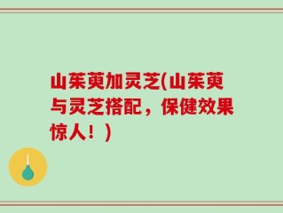 山茱萸加灵芝(山茱萸与灵芝搭配，保健效果惊人！)