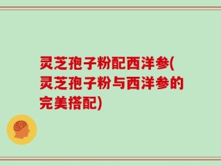 灵芝孢子粉配西洋参(灵芝孢子粉与西洋参的完美搭配)
