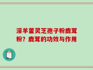 淫羊藿灵芝孢子粉鹿茸粉？鹿茸的功效与作用