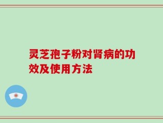 灵芝孢子粉对肾病的功效及使用方法