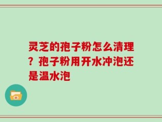 灵芝的孢子粉怎么清理？孢子粉用开水冲泡还是温水泡