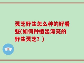 灵芝野生怎么种的好看些(如何种植出漂亮的野生灵芝？)