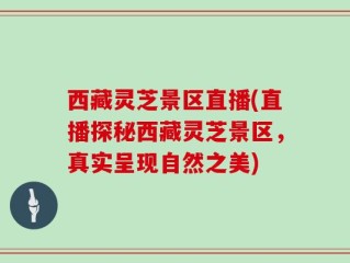 西藏灵芝景区直播(直播探秘西藏灵芝景区，真实呈现自然之美)