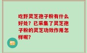 吃野灵芝孢子粉有什么好处？已采集了灵芝孢子粉的灵芝功效作用怎样呢？