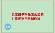 灵芝孢子粉是怎么出的？灵芝孢子粉制作法
