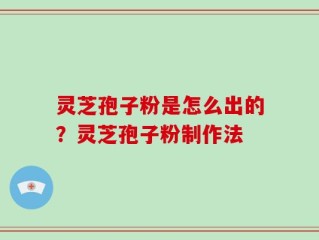灵芝孢子粉是怎么出的？灵芝孢子粉制作法