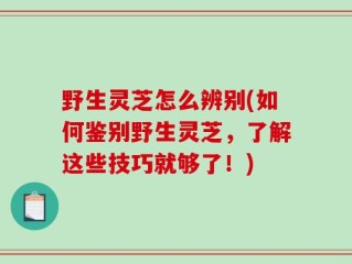 野生灵芝怎么辨别(如何鉴别野生灵芝，了解这些技巧就够了！)