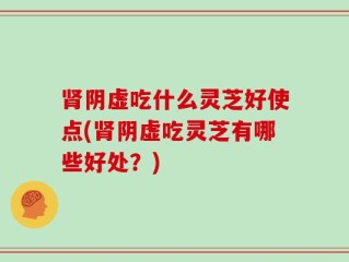肾阴虚吃什么灵芝好使点(肾阴虚吃灵芝有哪些好处？)