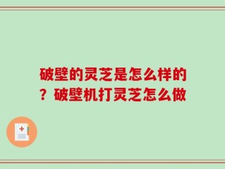 破壁的灵芝是怎么样的？破壁机打灵芝怎么做