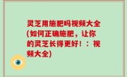 灵芝用施肥吗视频大全(如何正确施肥，让你的灵芝长得更好！：视频大全)