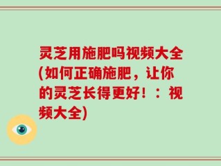 灵芝用施肥吗视频大全(如何正确施肥，让你的灵芝长得更好！：视频大全)