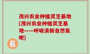 茂兴农业种植灵芝基地(茂兴农业种植灵芝基地——呼吸清新自然氧吧)