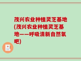 茂兴农业种植灵芝基地(茂兴农业种植灵芝基地——呼吸清新自然氧吧)