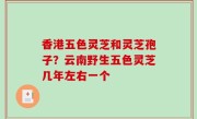 香港五色灵芝和灵芝孢子？云南野生五色灵芝几年左右一个