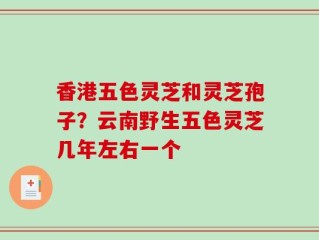 香港五色灵芝和灵芝孢子？云南野生五色灵芝几年左右一个