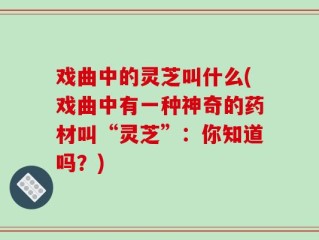 戏曲中的灵芝叫什么(戏曲中有一种神奇的药材叫“灵芝”：你知道吗？)