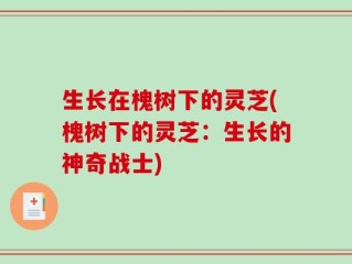 生长在槐树下的灵芝(槐树下的灵芝：生长的神奇战士)