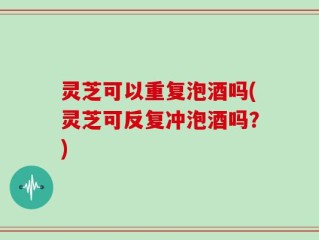 灵芝可以重复泡酒吗(灵芝可反复冲泡酒吗？)