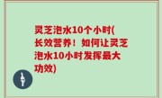灵芝泡水10个小时(长效营养！如何让灵芝泡水10小时发挥最大功效)