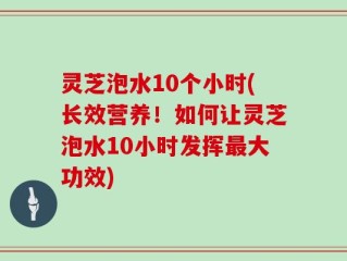灵芝泡水10个小时(长效营养！如何让灵芝泡水10小时发挥最大功效)