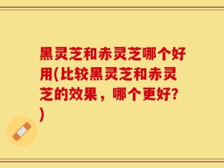 黑灵芝和赤灵芝哪个好用(比较黑灵芝和赤灵芝的效果，哪个更好？)
