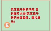 灵芝孢子粉的功效 百科图片大全(灵芝孢子粉的全面益处，图片展示)