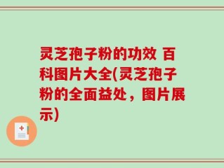 灵芝孢子粉的功效 百科图片大全(灵芝孢子粉的全面益处，图片展示)
