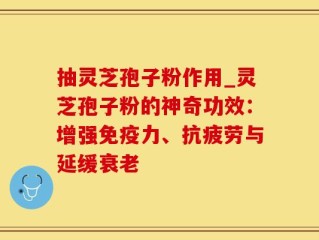 抽灵芝孢子粉作用_灵芝孢子粉的神奇功效：增强免疫力、抗疲劳与延缓衰老
