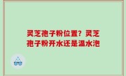 灵芝孢子粉位置？灵芝孢子粉开水还是温水泡