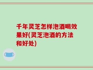 千年灵芝怎样泡酒喝效果好(灵芝泡酒的方法和好处)