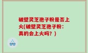 破壁灵芝孢子粉是否上火(破壁灵芝孢子粉：真的会上火吗？)