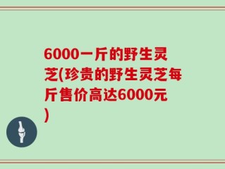 6000一斤的野生灵芝(珍贵的野生灵芝每斤售价高达6000元)