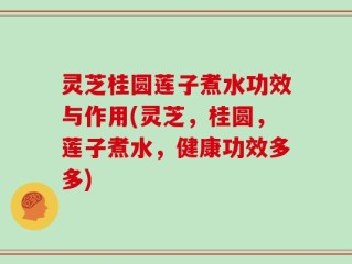 灵芝桂圆莲子煮水功效与作用(灵芝，桂圆，莲子煮水，健康功效多多)