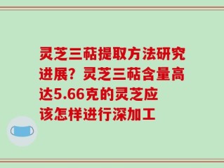 灵芝三萜提取方法研究进展？灵芝三萜含量高达5.66克的灵芝应该怎样进行深加工