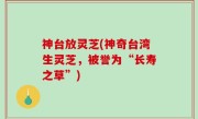 神台放灵芝(神奇台湾生灵芝，被誉为“长寿之草”)