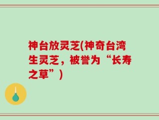 神台放灵芝(神奇台湾生灵芝，被誉为“长寿之草”)