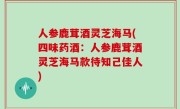 人参鹿茸酒灵芝海马(四味药酒：人参鹿茸酒灵芝海马款待知己佳人)