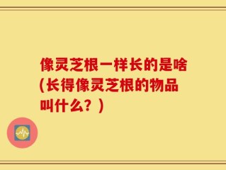 像灵芝根一样长的是啥(长得像灵芝根的物品叫什么？)